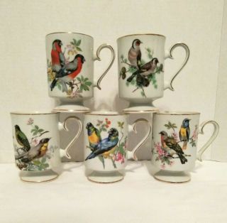 Set 5 Porcelain Birds Coffee Tea Cups Pedestal Gold Trim Colorful Japan