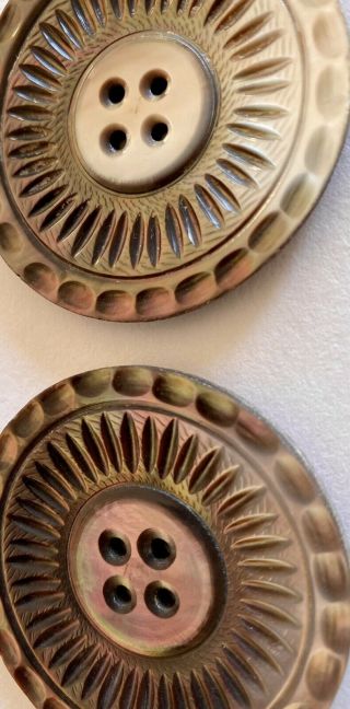 Matching Set Of 2 Vintage Extra Large Xl Carved Abalone Buttons 2 - 1/8”