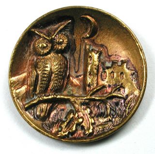 Antique Stamped Brass Button Owl On Branch Castle & Crescent Moon 5/8 " 1890s