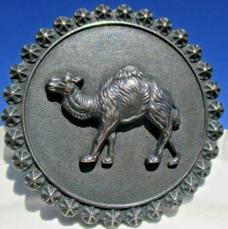Vintage French Button " Camel W/star Rim " 1 3/8 " Vintage Antique Metal Picture