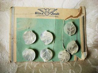 7 Vintage Carved Mother Of Pearl Shell Leaf Buttons Ultra Kraft 5/8 X 3/4 In