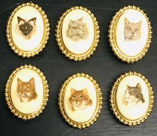 Set Of 6 Cat Nony York Button Covers Portraits Cameo