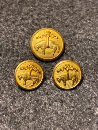 Waterbury Brooks Brothers Gold Tone Metal Blazer Buttons - Replacements