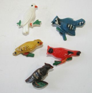 5 Vintage Plastic Realistic Bird Painted Buttons From Birds On A Limb Set