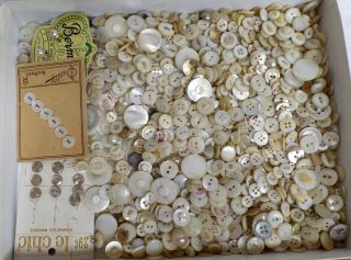 Mother Of Pearl Buttons Assorted Sizes Shapes & Looks