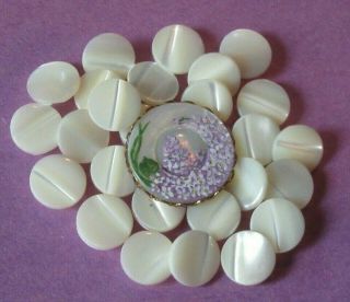 Vintage Hand Painted Mother Of Pearl Buttons 26 Ivory Diminutive Purple Flowers