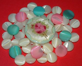 Vintage 1 " Hand Painted Mother Of Pearl Buttons Diminutive Roses Floral