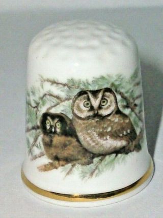 A Rare Oakley Bone China Owl And Owlet Thimble " The Tengmalm 