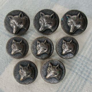 Set Of 8 Vintage 2 - Piece Brass Wolf Head Buttons