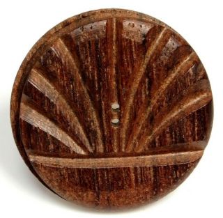 Antique Vtg Button Large Wood Clam Shell I