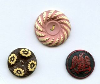 3 Fantastic Medium Buffed Celluloid Buttons - - Pink - - Brown - - Eagle - - 1 1/8 " To 7/8 "