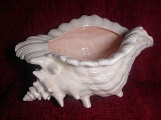 Large Atlantic Mold 12 " Vintage Cream /peach Sea Shell Conch Planter Flower Pot