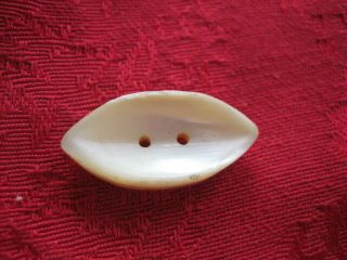 Vintage Medium 1 " Mother Of Pearl Mop Shell Eye Shape Sew Thru Button P302