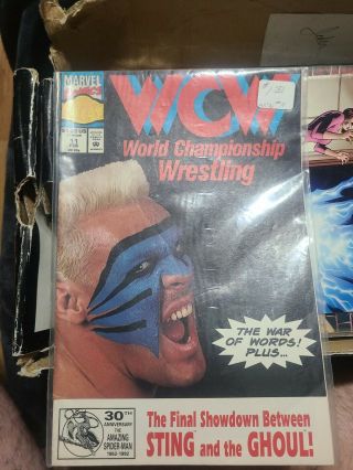 Wcw World Championship Wrestling 11 (newsstand) Marvel Sleeve
