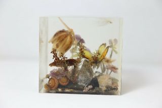 Vintage William W Rolfe Terrarium Mushroom Butterfly Lucite Paperweight