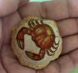 Fossilized Clam With Crab Art,  Unique Beach Decoration,  Beach Accent,  Beach Gift
