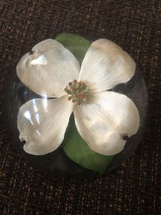 W Rolfe Lucite Paperweight Dogwood Flower Half Globe 3.  75 " D - Signed Ships