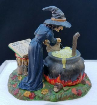 Dept 56 Halloween FIRE BURN & CAULDRON BUBBLE Witch Figure 4030764 2