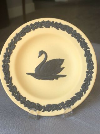 Wedgwood Jasperware Cane Yellow With Black Swan 4.  5 " Trinket Plate