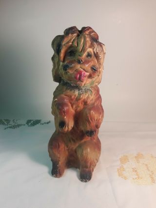 Vintage Chalkware Carnival Prize Bank Dog Shih Tzu,  Yorkie Terrier 12 "