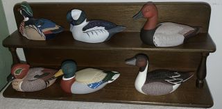 Vintage 1984 Complete Set Of 6 Avon Collector Duck Series And Display Shelf