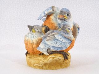 Andrea By Sadek Baby Bluebirds Porcelain Bird Figurine - 5803