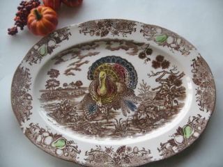 Turkey Platter 16 X 11 1/2