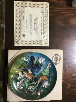 Vintage Edwin M Knowles Birds Of Your Garden Bluebird Plate Kevin Daniel 1986