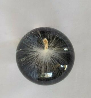 Small Paper Weight Dandelion Seed Inside Poly Quartz Souvenier From Canada
