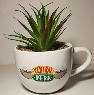 Friends TV Show White Central Perk Succulent Faux Plant Coffee 2