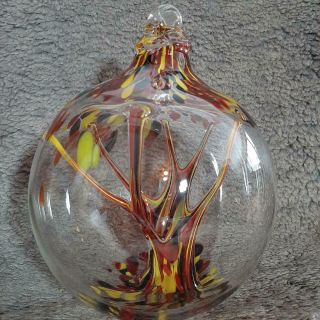Hanging Glass Ball 6 " Diameter " Vermont Fall Tree " Witch Ball (1) 112a