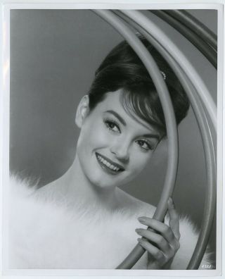 Miss Rheingold Model,  Tv Actress Margie Mcnally Petersen Mod Photograph