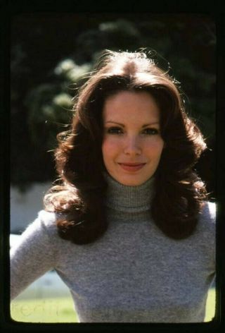 Jaclyn Smith Charlies Angels Vivid Color Portrait 35mm Transparency