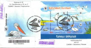 2017 Kyrgyzstan Wwf Pelicans Fauna Mi883 - 86a Fdc Int.  Registered Mail