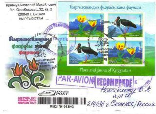 2017 Kyrgyzstan Flora Fauna Mi Bl.  82b Fdc Int.  Registered Mail