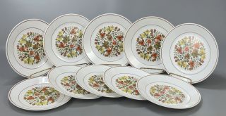 Set Of 10 Corelle Corning Indian Summer White Salad Lunch 8.  5 " Plates Aa
