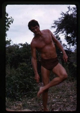 Tarzan Tv Ron Ely In Loin Cloth Barechested 1966 35mm Transparency