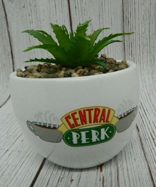 Friends TV Show White Central Perk Succulent Faux Plant Coffee 3