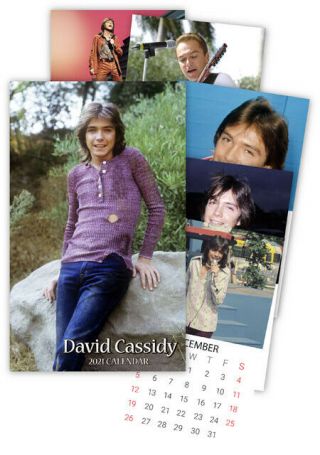 David Cassidy,  The Partridge Family,  12 Month 2021 Calendar,  Size 8 /12in X 14in