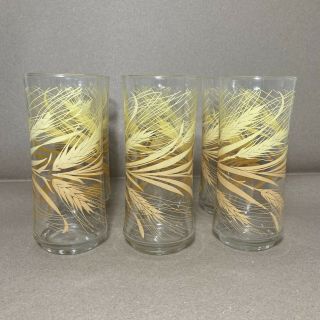 Set of 6 LIBBEY GOLDEN WHEAT Glasses 6 3/8” 12 Ounce Tall Drink - ware Vintage 2