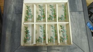 Lotus Holiday Christmas Holly Glass Highball Set/8 Vintage Mid Century Or Box