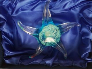 Italy Millefiori Venetian Murano Glass Starfish Art Glass Paperweight - Old 2