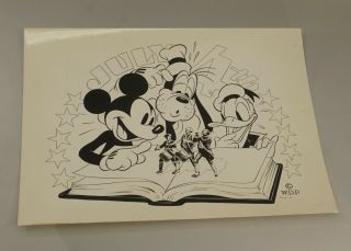 Vintage Walt Disney Mickey Mouse Donald Duck Goofy 10 " X8 " Glossy Photo