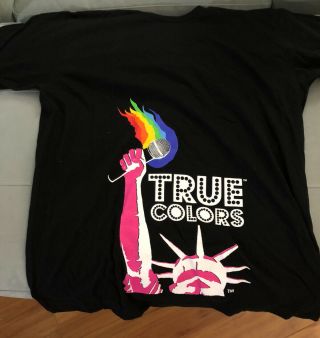 Large Black 2007 Cyndi Lauper True Colors Tour T Shirt.  Lgbt.