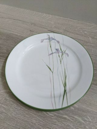 Set Of 6 Corelle Shadow Iris Dinner Plates 10.  25 " Purple Flowers Green Rim