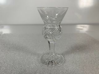 Edinburgh Crystal Thistle Pattern Cordial Glass 3 1/2” High