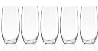 Lenox Tuscany Classics Large Tumbler Drinking Glasses Set Of 5