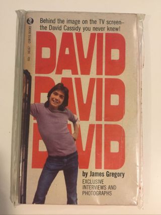 David David David By James Gregory Vintage Book David Cassidy Partridge Family