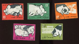 Pr China 1960 S40 Pig Breeding Set,  Used/cto
