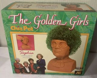 Chia Pet " Sophia " From The Golden Girls Decorative Pottery Planter